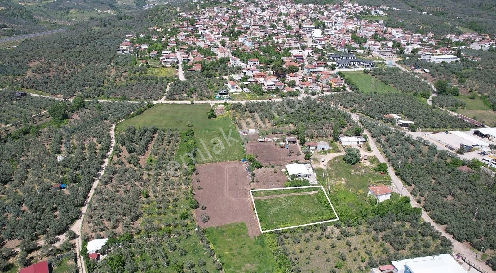 Marka Gayrımenkulden Yeniköyde İmara Yakın Satılık Tarla