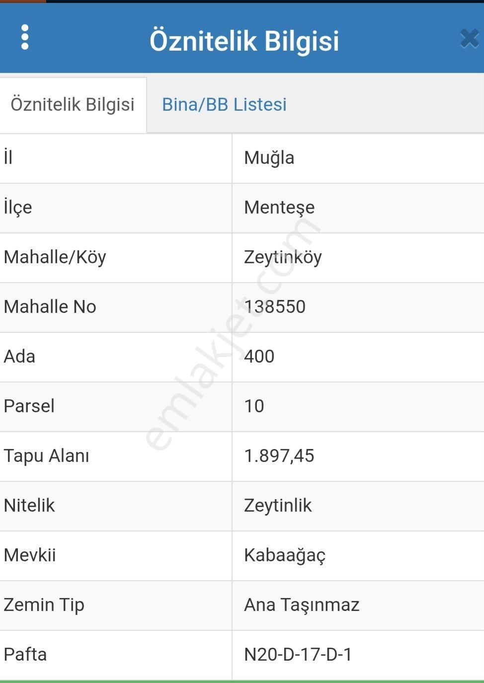 Muğla Menteşe Satılık Zeytinlik