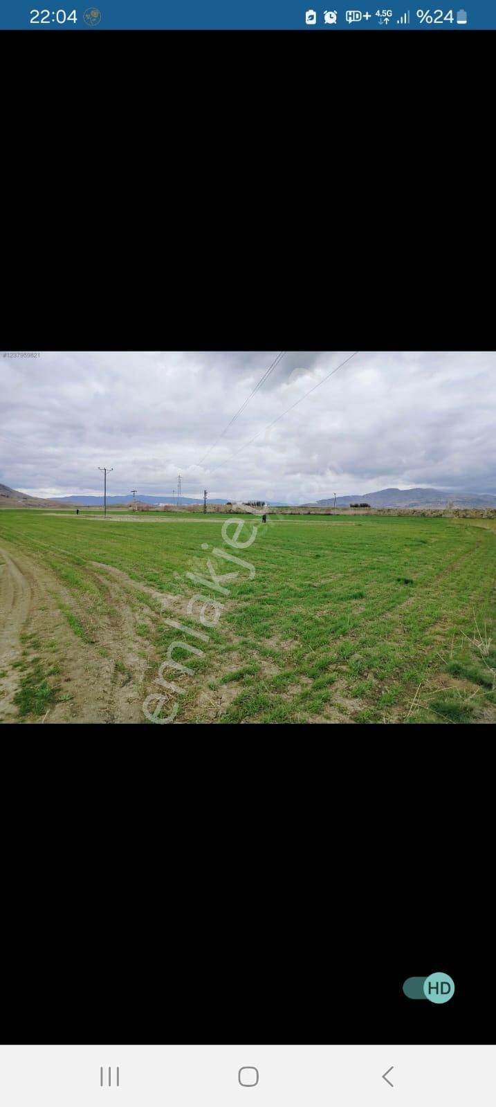 Burdur/karamanlı/kılavuzlar Mahallesi Verimli Tarla.vatan - Görsel 3