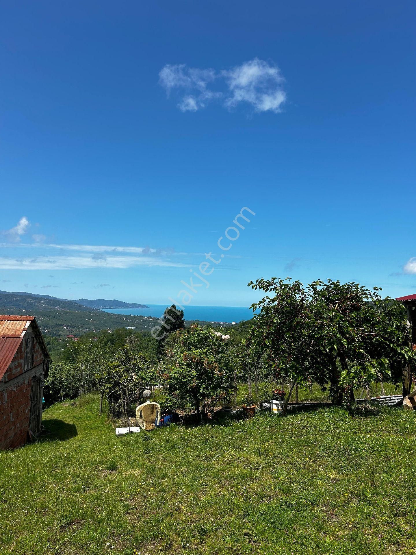 Boztepe Panoramik Deniz Manzaralı Kacirilmayacak Satılık Arsa Fındık Bahçesi