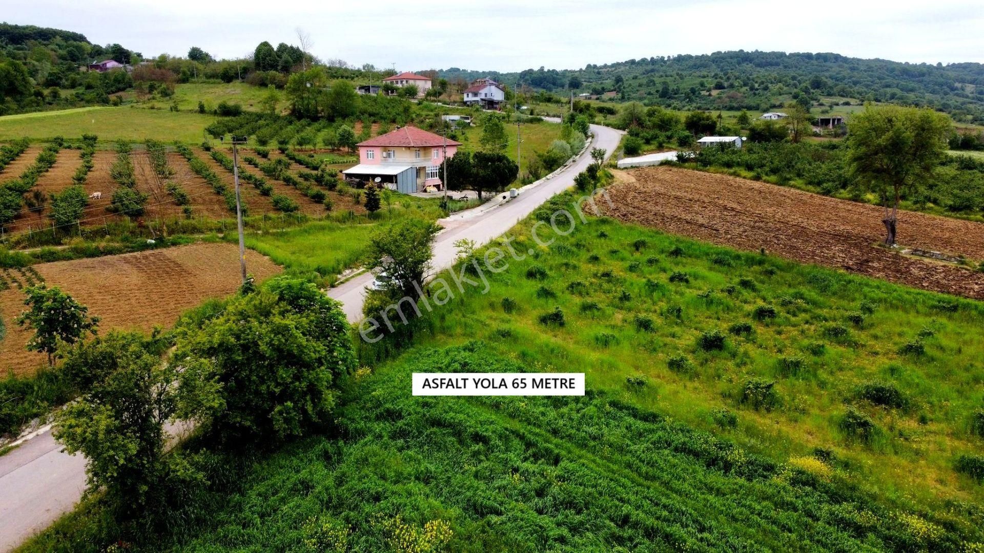 Asfalt Yola 1 Parsel , Yerleşime Çok Yakın , Uygun Fiyata!