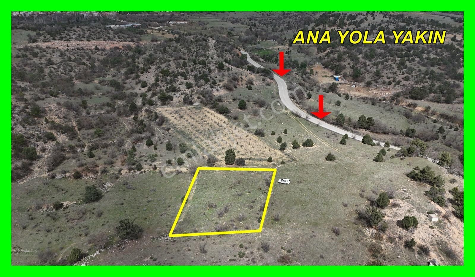 Asfalt Yola 60 Metre Mesafede , Manzaralı Kare Arazi!