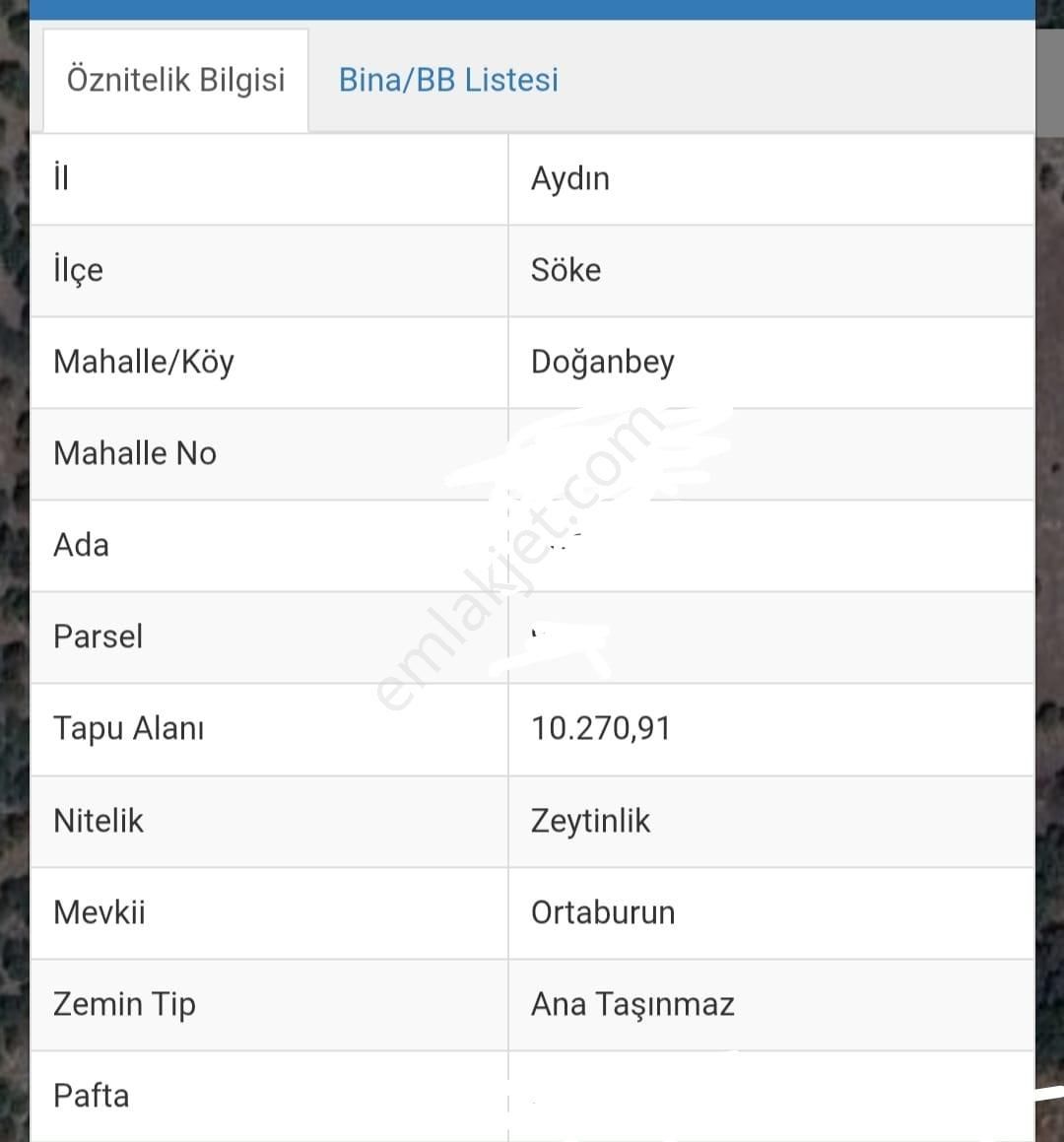 Doğanbey Köyü Sökede Satılık Zeytinlik - Görsel 3