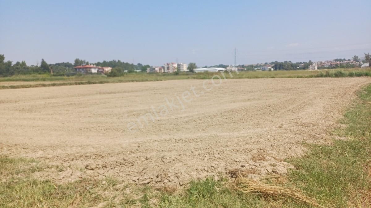 Doğançam İmar Sınırlarına Yakın Tek Tapu Satılık Tarla