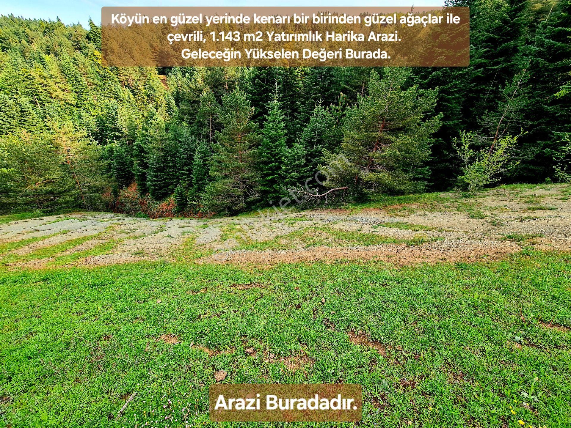Samsun Bafra Komşupınar'da Köye Denize Yakın 1.143 M2 Uygun Tarla. Açıklamayı Okuyunuz
