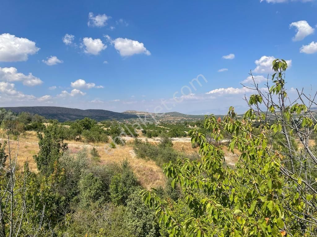 Denizli Bekilli Gömce Köyü Satılık Ceviz Bağı Tarla