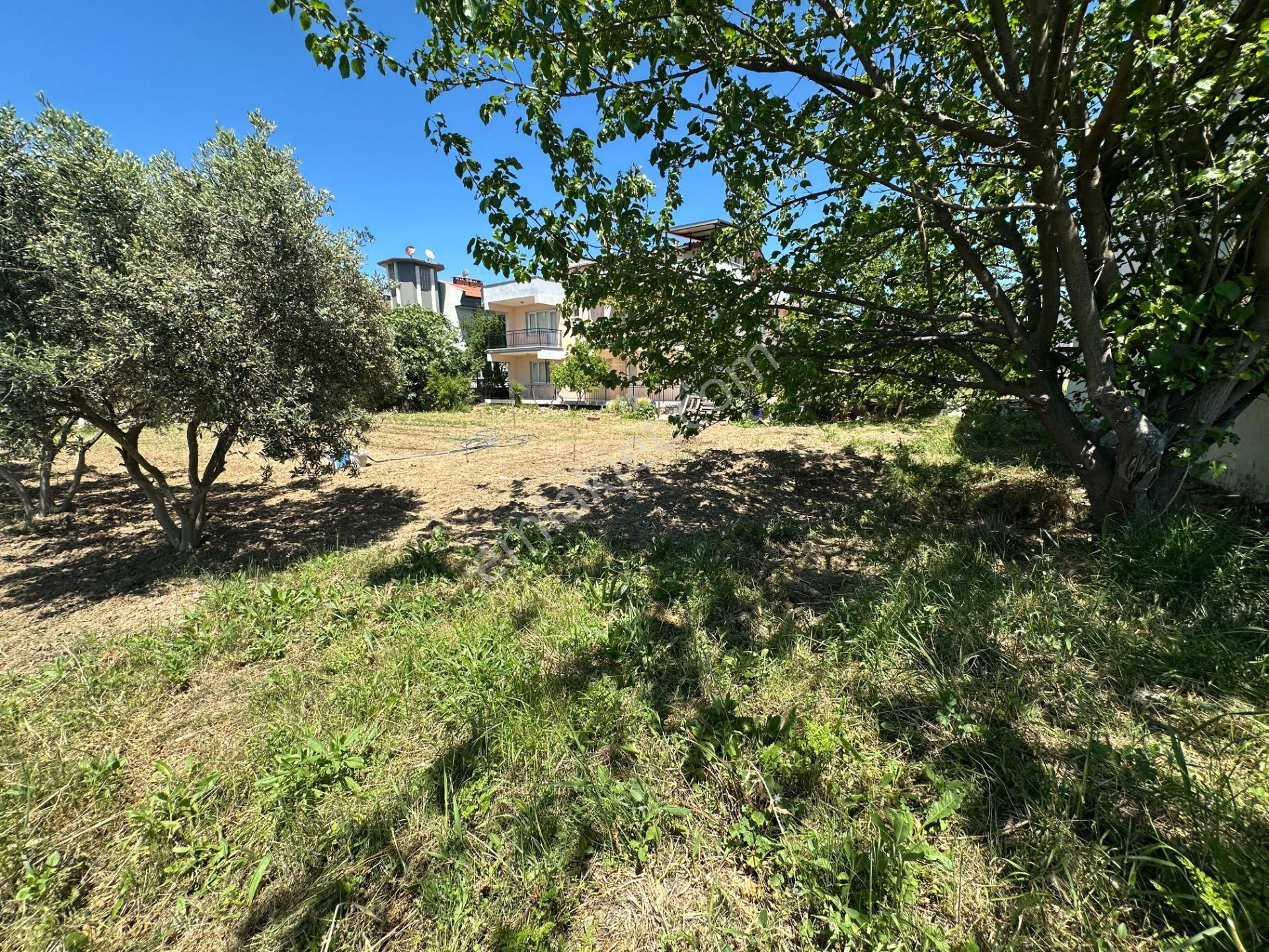 Urla Barbarosta Asfalt Yola Cepheli 7556 M² Arazi