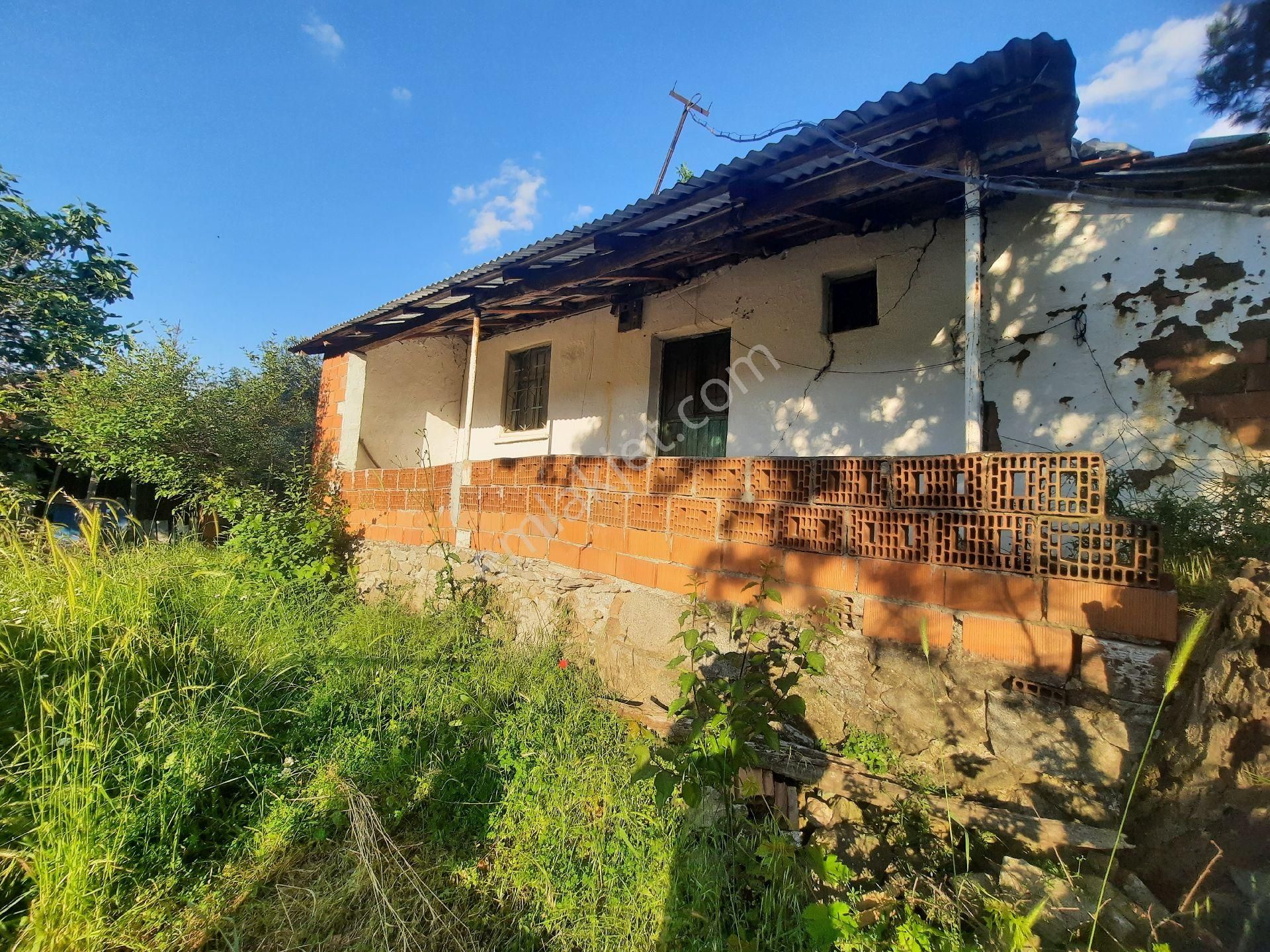 Müstakil Ev