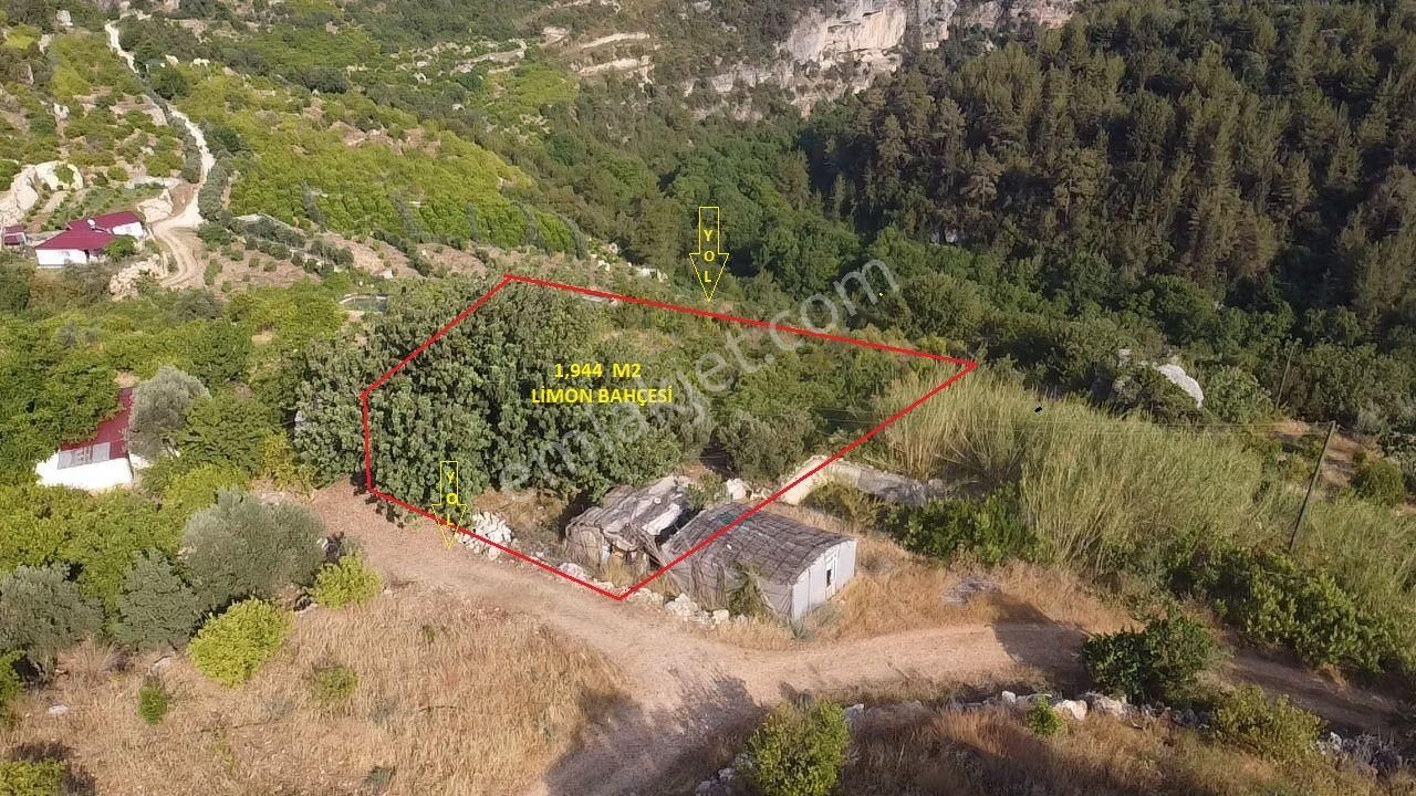 Erdemli Yeniyurt'da 1,944 M2 Satılık Limon Bahçesi