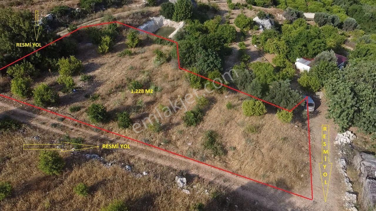 Erdemli Yeniyurt'da 1,228 M2 Satılık Limon Bahçesi
