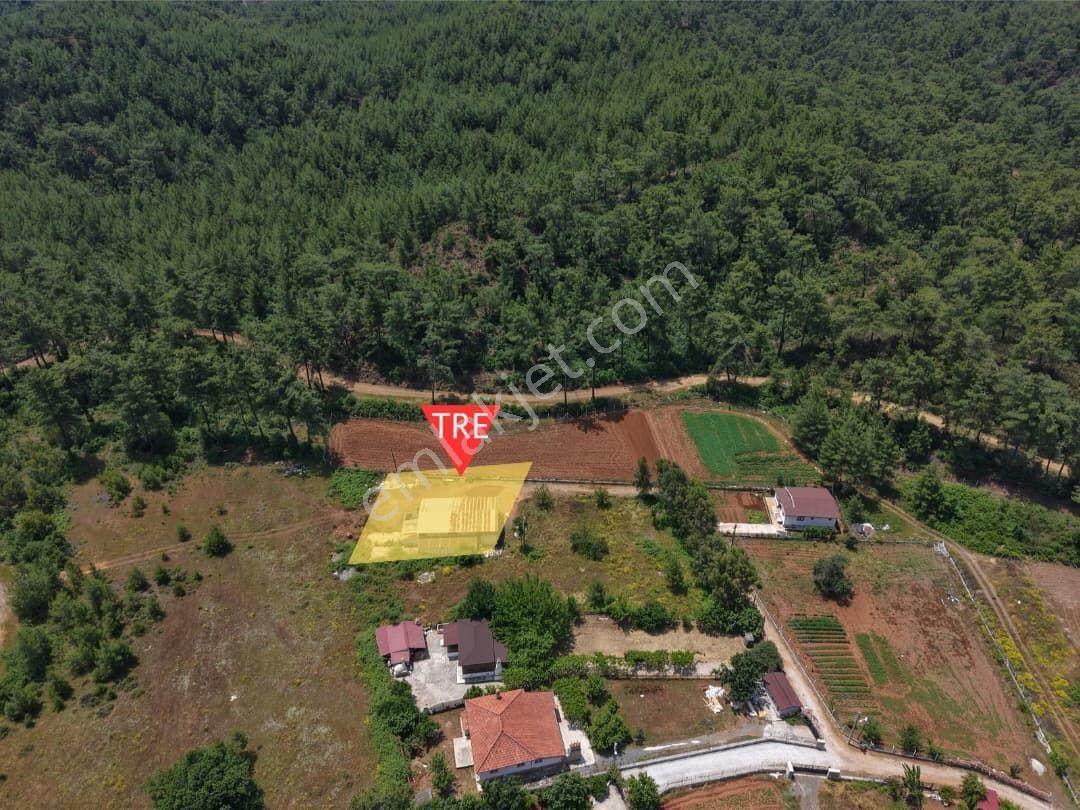 Muğla Ula Kızılyaka Köyünde Orman İle Yan Yana İmarlı Arsa