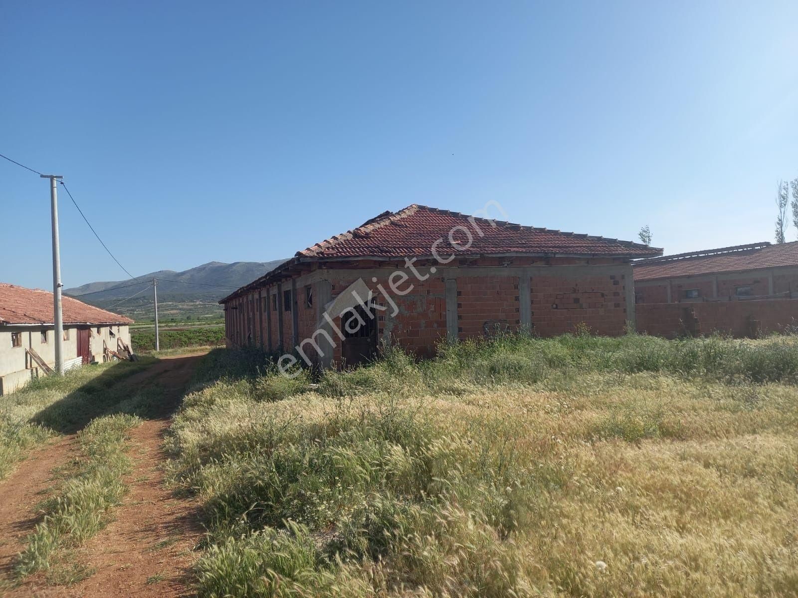 Denizli Çal İlçesi Hançalar Mah.de Satılık Dam/ahır Ve Tarla - Görsel 11