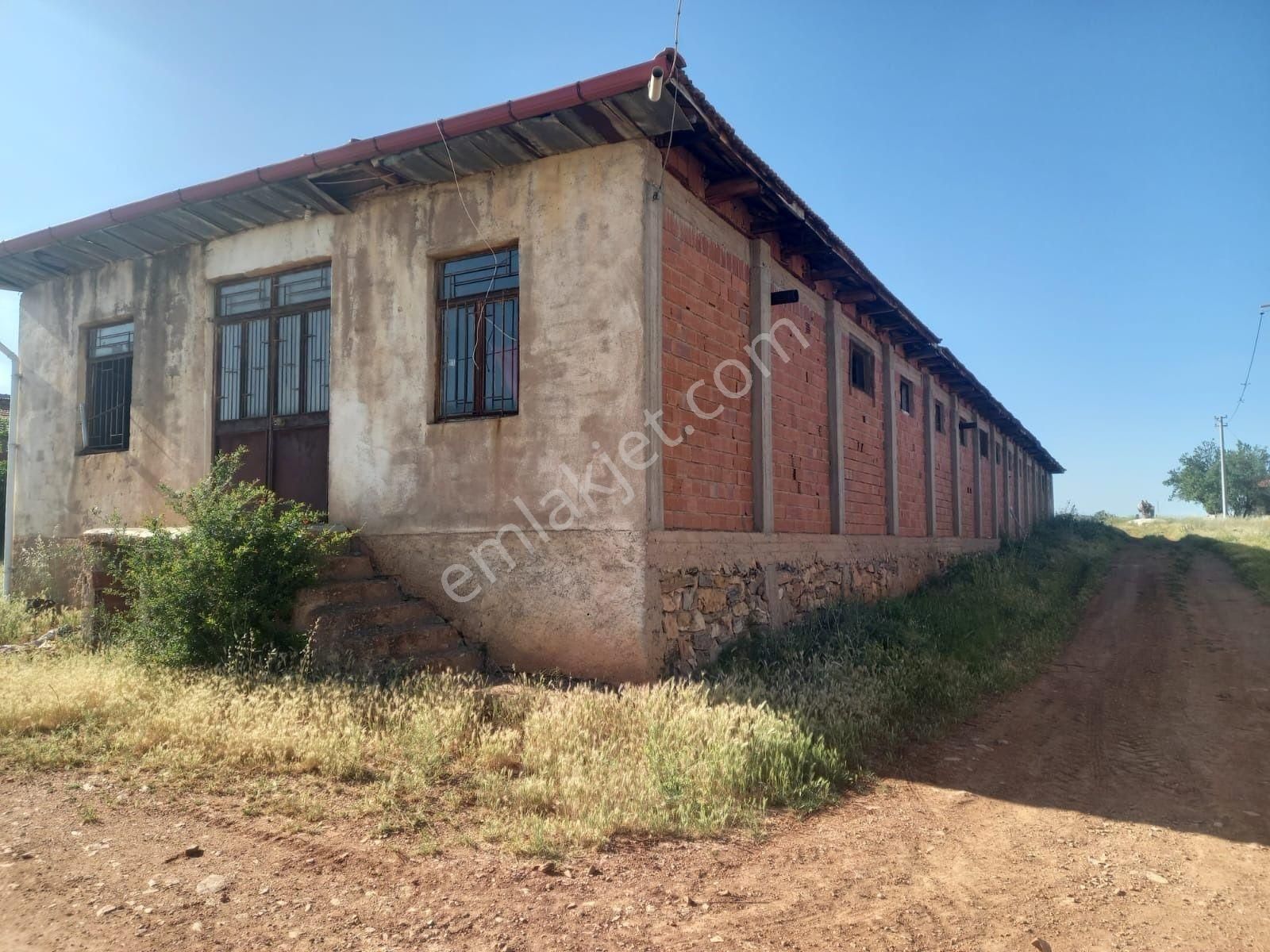 Denizli Çal İlçesi Hançalar Mah.de Satılık Dam/ahır Ve Tarla - Görsel 7