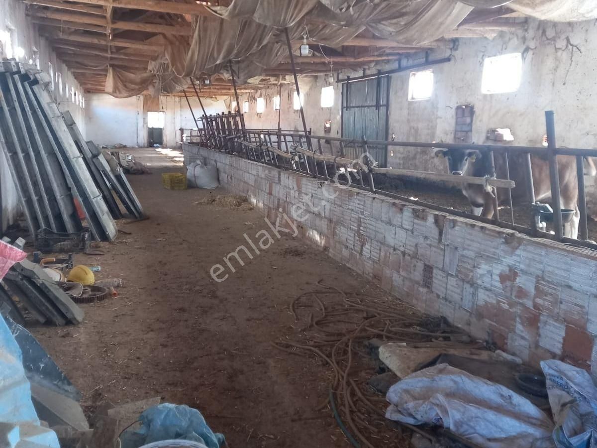 Denizli Çal İlçesi Hançalar Mah.de Satılık Dam/ahır Ve Tarla - Görsel 16