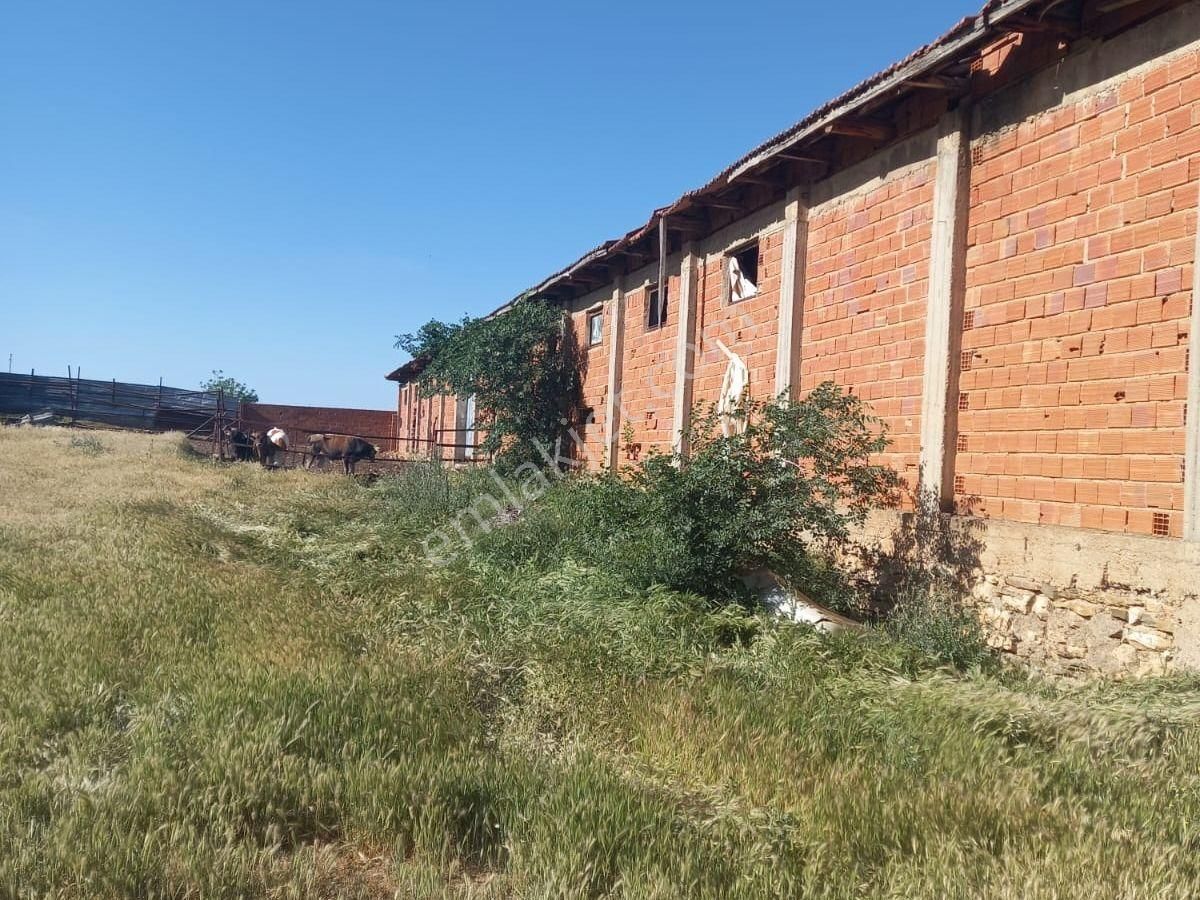 Denizli Çal İlçesi Hançalar Mah.de Satılık Dam/ahır Ve Tarla - Görsel 5