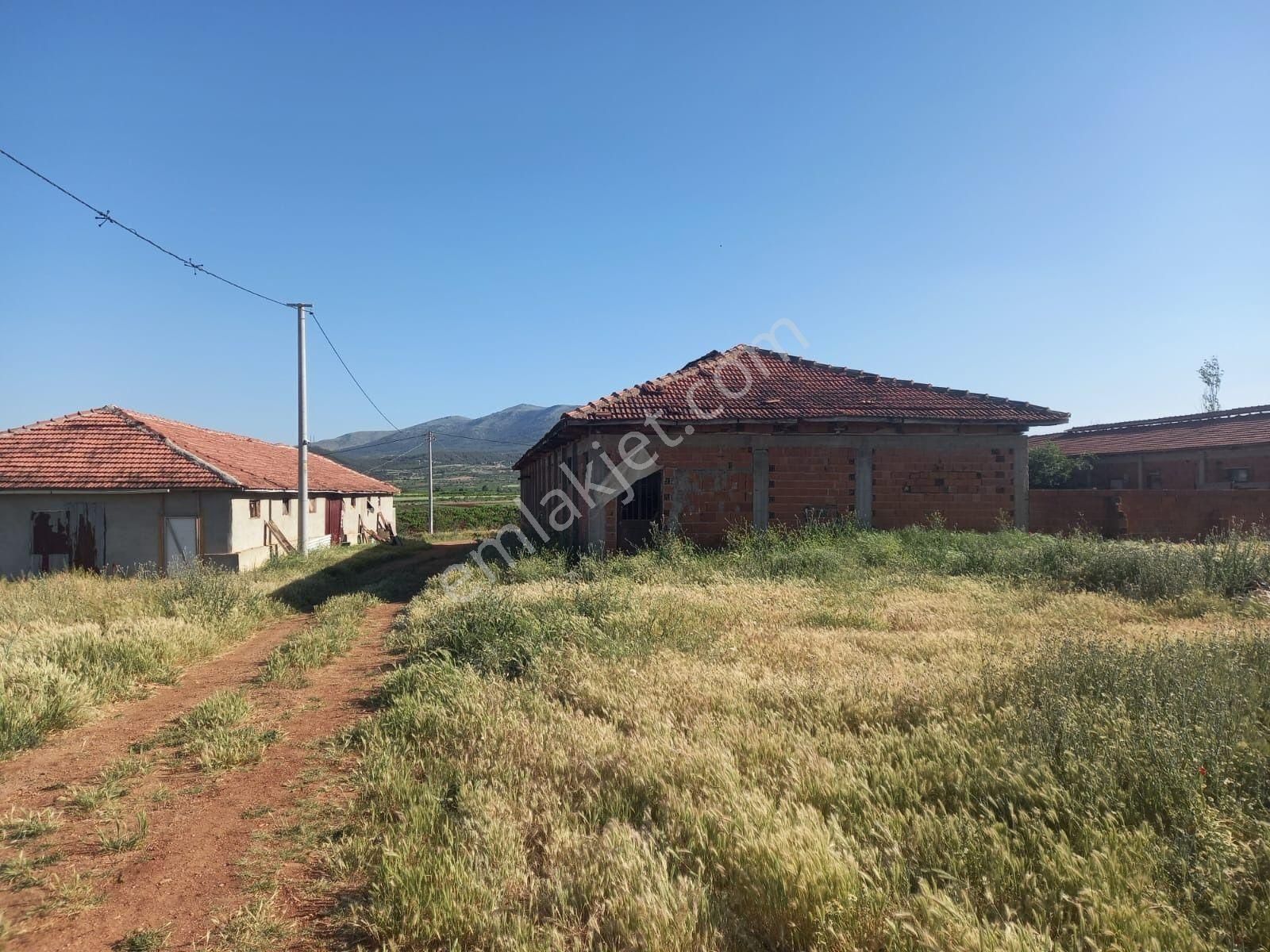 Denizli Çal İlçesi Hançalar Mah.de Satılık Dam/ahır Ve Tarla - Görsel 20