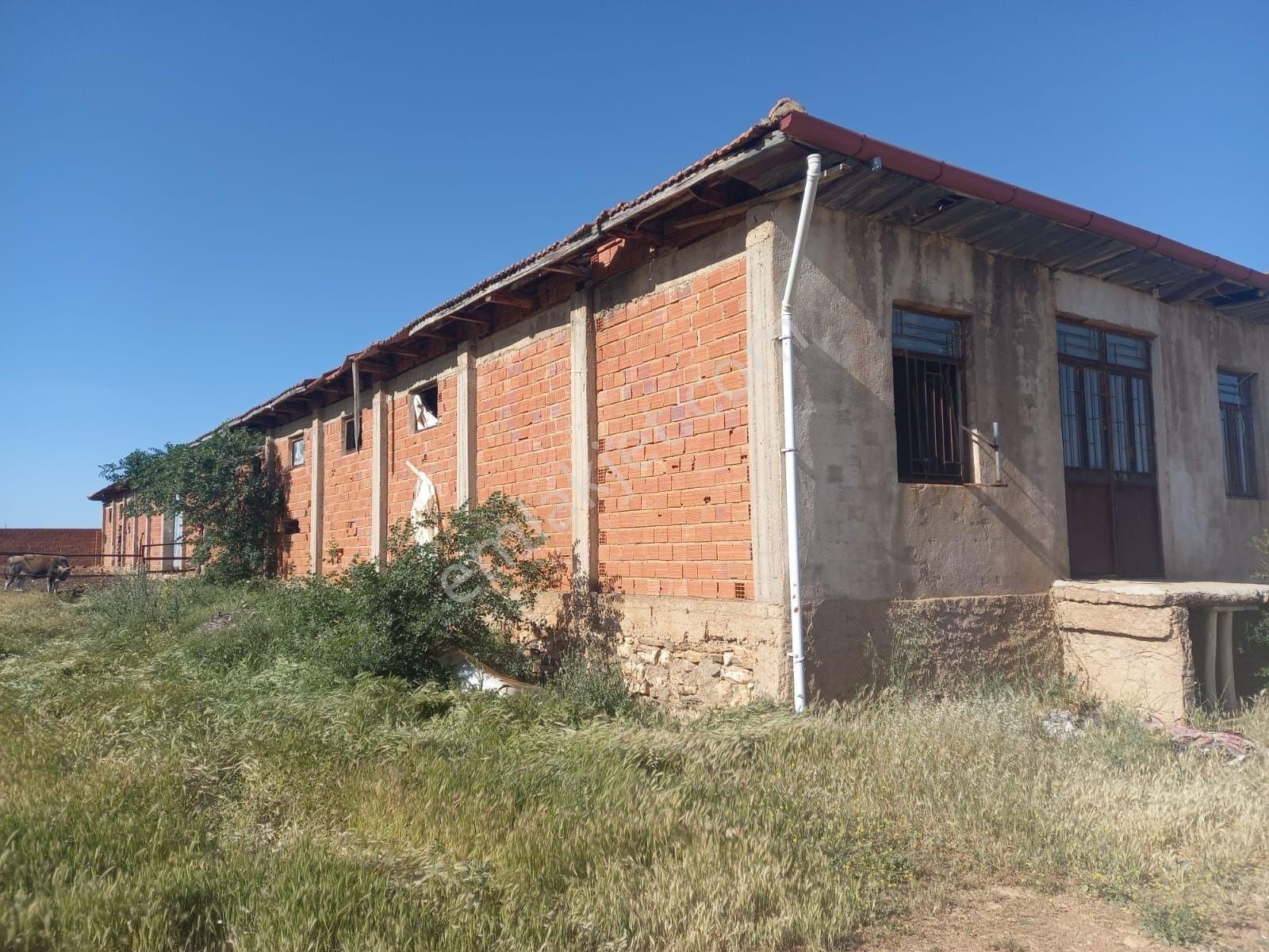 Denizli Çal İlçesi Hançalar Mah.de Satılık Dam/ahır Ve Tarla - Görsel 19