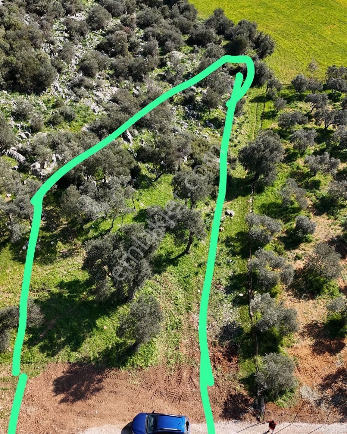 Güleç Gayrimenkul Ataköy’de Fırsat Tek Tapu 1050m2