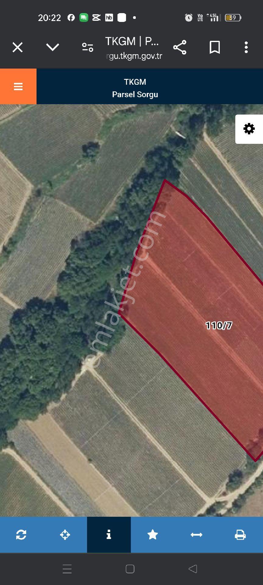 Sahibinden Kalkım Kalabakbaşı (doma) Köyü 2300m2 Dere Kenari Tarla Yolu Mevcut - Görsel 2