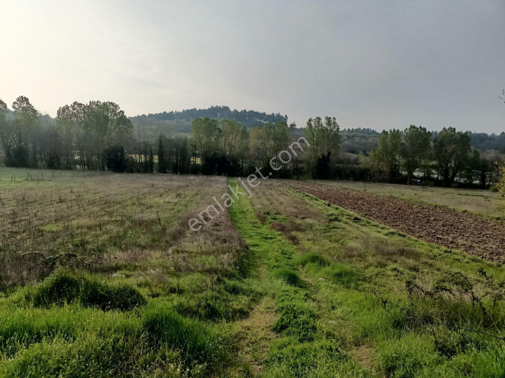 Sahibinden Kalkım Kalabakbaşı (doma) Köyü 2300m2 Dere Kenari Tarla Yolu Mevcut - Görsel 9