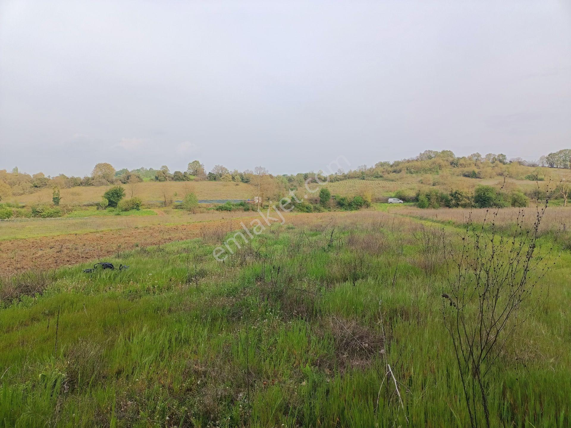 Sahibinden Kalkım Kalabakbaşı (doma) Köyü 2300m2 Dere Kenari Tarla Yolu Mevcut - Görsel 5