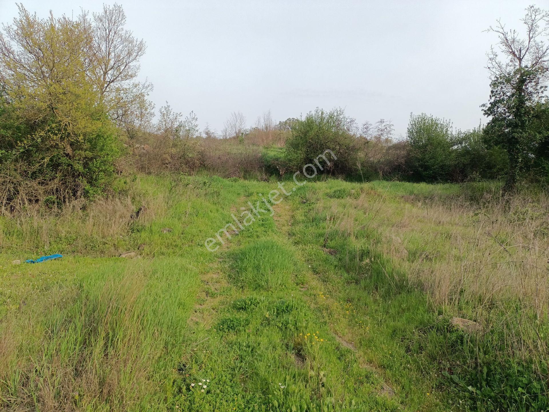 Sahibinden Kalkım Kalabakbaşı (doma) Köyü 2300m2 Dere Kenari Tarla Yolu Mevcut - Görsel 14