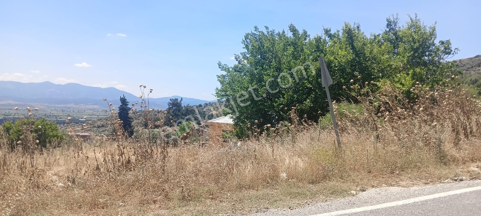 Bard Danışmanlık'tan İzmir Bayındır Furunlu Dev Zeytinlik