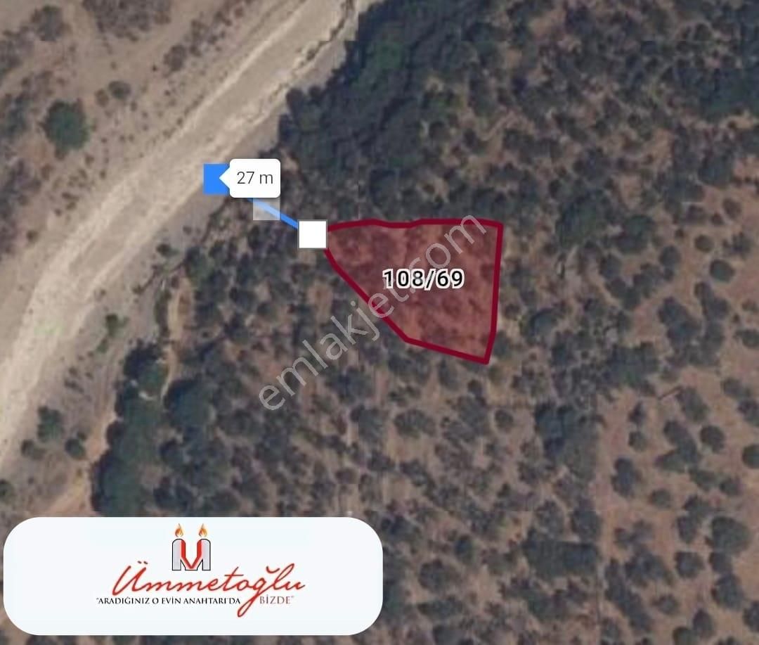 Ümmetoğlu'ndan (1.104 M2 ) Yatırımlık Zeytinlik Kocaoba Köyünde