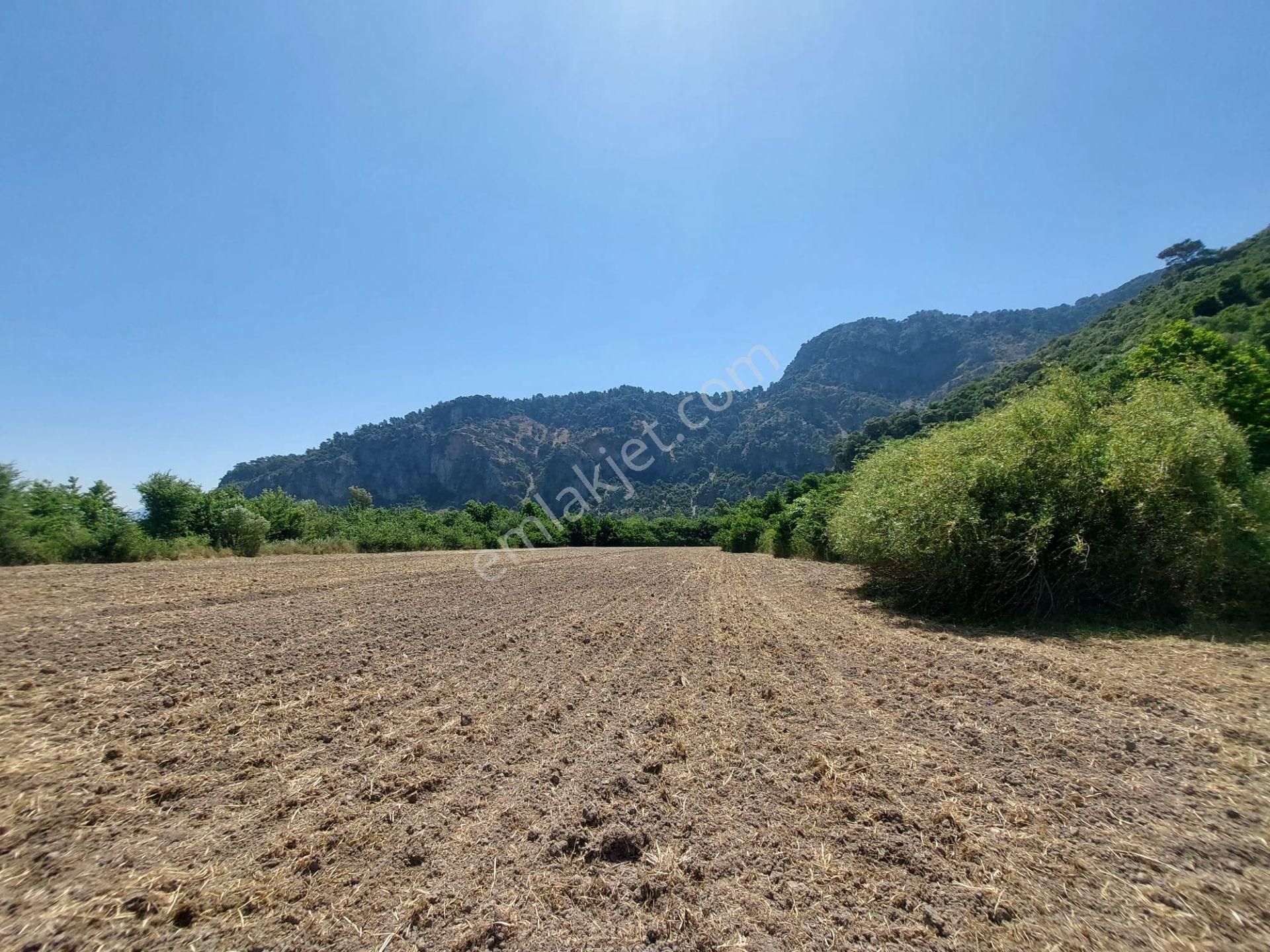 Muğla Okçular Marmarlıda 7 750 M2 İmar Planı İçinde Yatırıma Uygun Kelepir Arsa Satılık