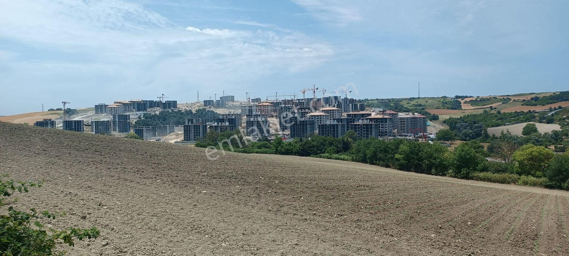 Arnavutköy Baklalı Toki Konutlarına Bitişik, İmarlı 2 Adet 255 M2 - Görsel 3