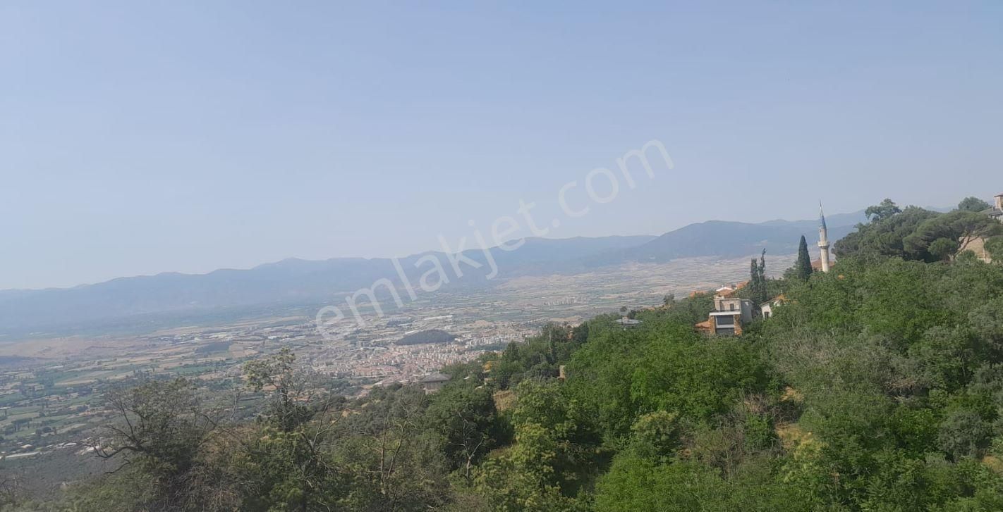 İzmir Tire Kaplanda Panaromik Manzaralı Kestanelik Ve Bahçe