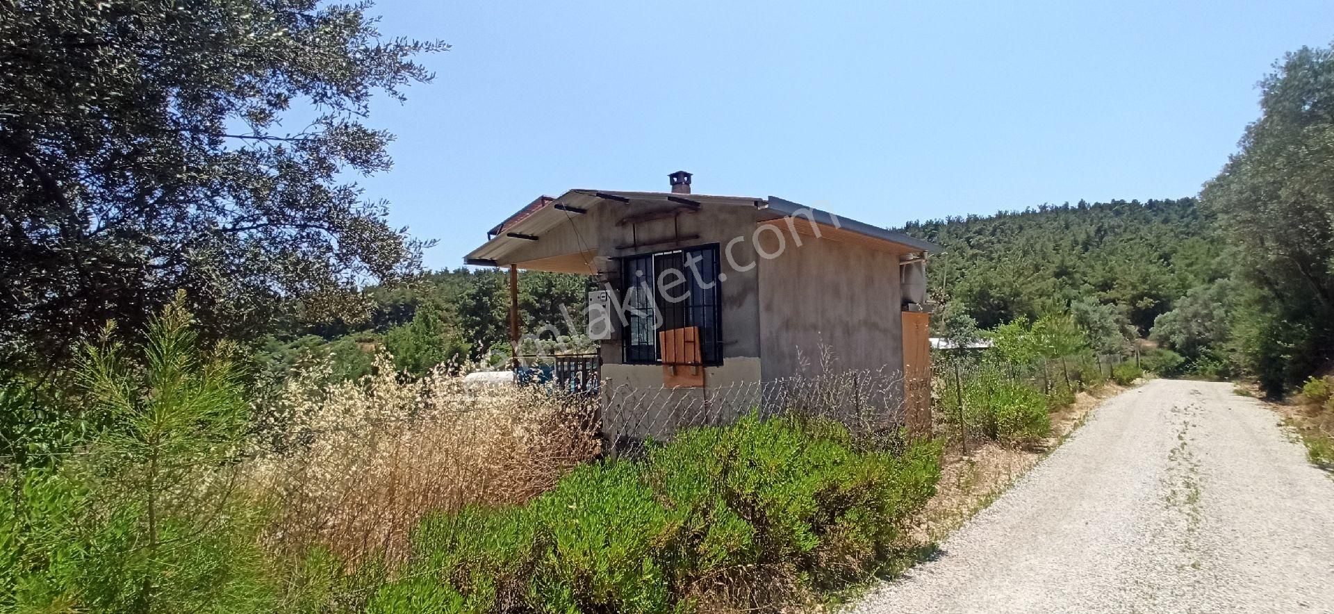Menderes Çatalca Tek Tapu 5050 M2 Tarla