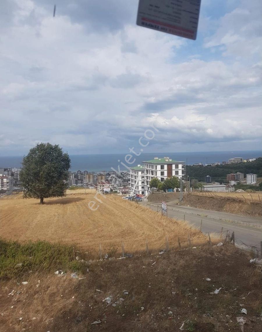 Samsun Atakum Körfez De Sıfır Pamuklu Bulvarına Sıfır Deniz Manzaralı 1+1 En Büyüğü Satılık Daire - Görsel 34