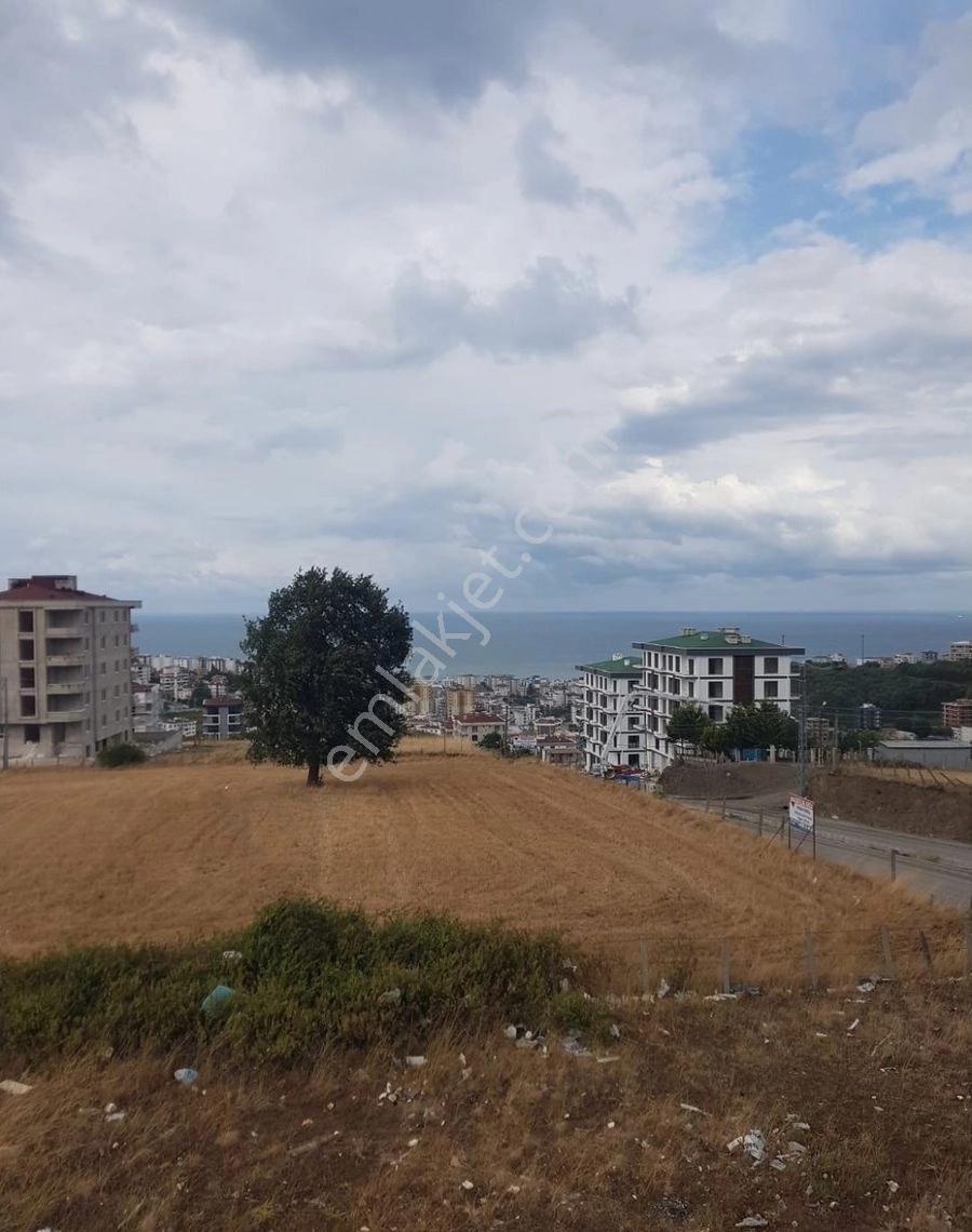 Samsun Atakum Körfez De Sıfır Pamuklu Bulvarına Sıfır Deniz Manzaralı 1+1 En Büyüğü Satılık Daire - Görsel 15