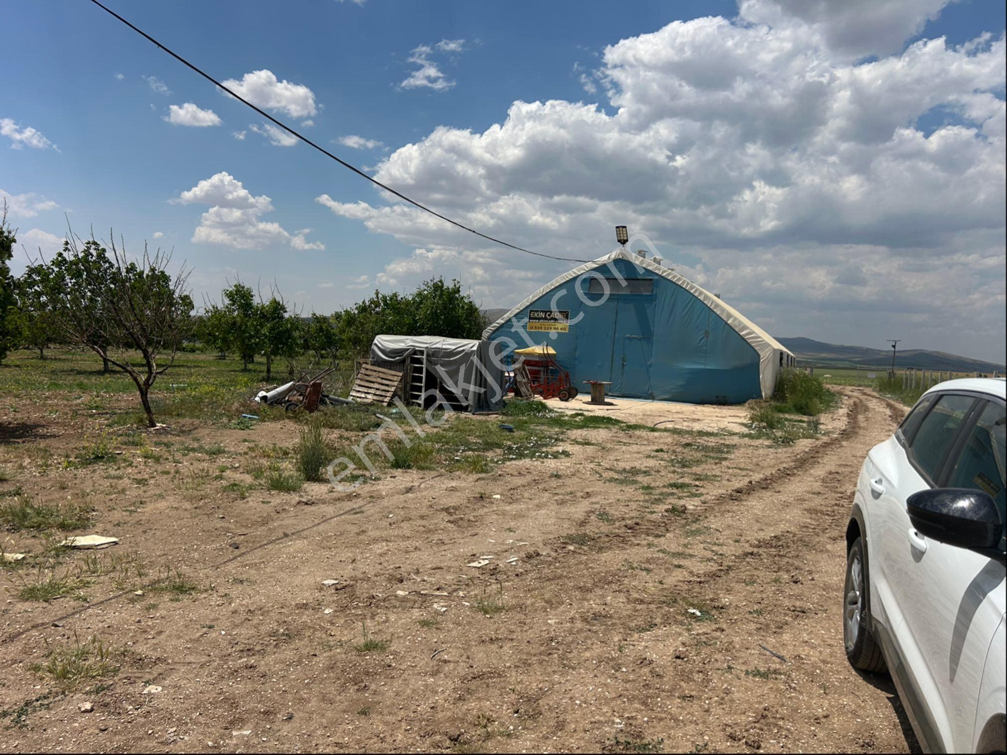 Harika Bir Cevizlik Yol Üzeri - Görsel 18