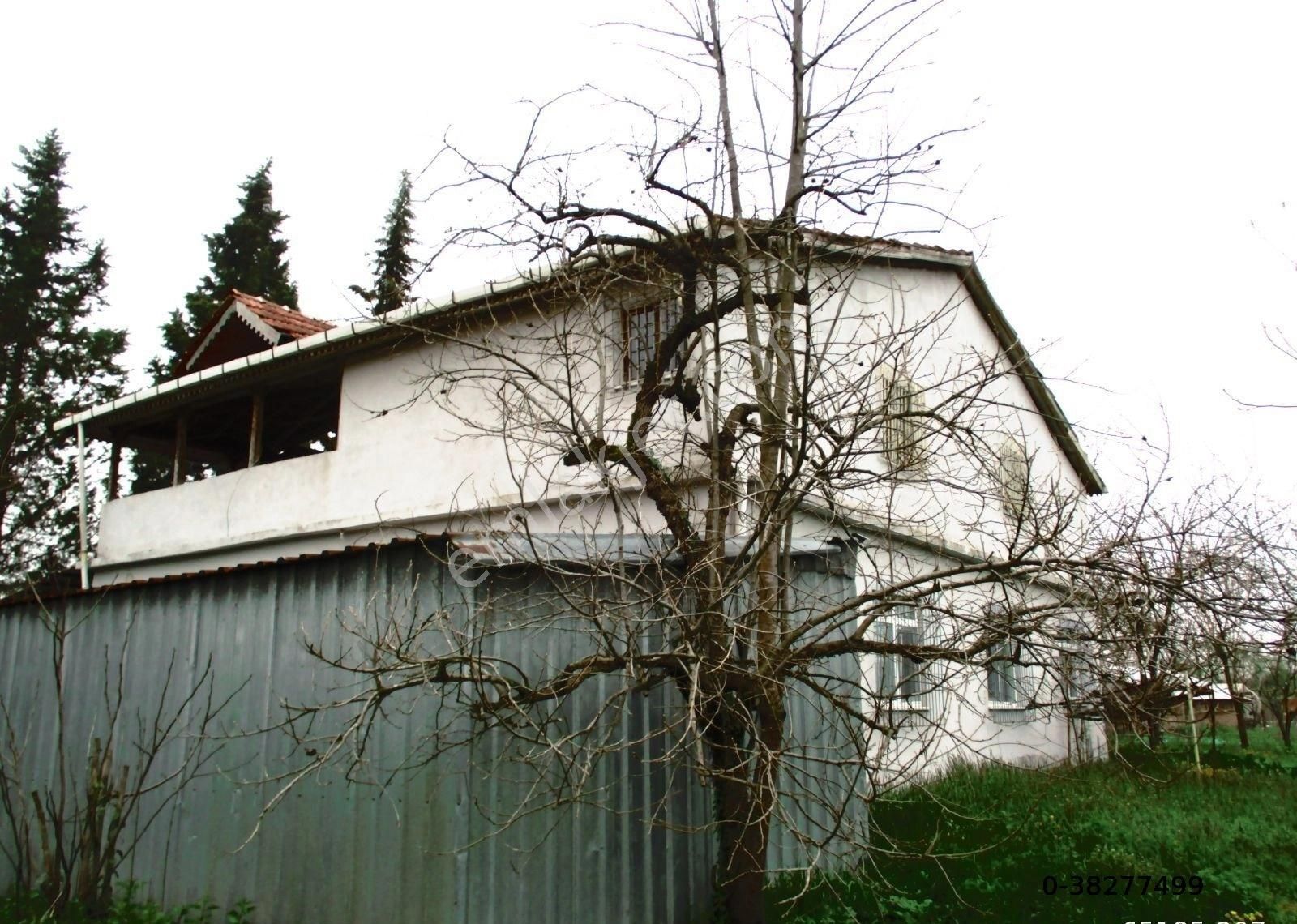 Samsun Terme Beşikli K Evi Olan Satılık Fındık Tarlası 28 Dönüm - Görsel 5