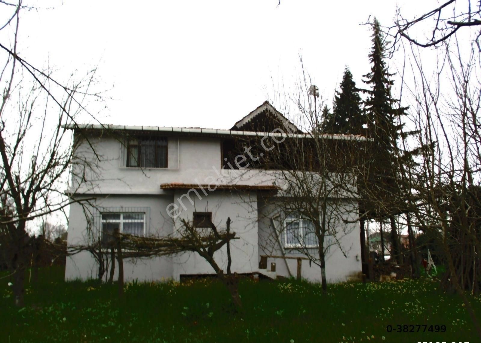 Samsun Terme Beşikli K Evi Olan Satılık Fındık Tarlası 28 Dönüm