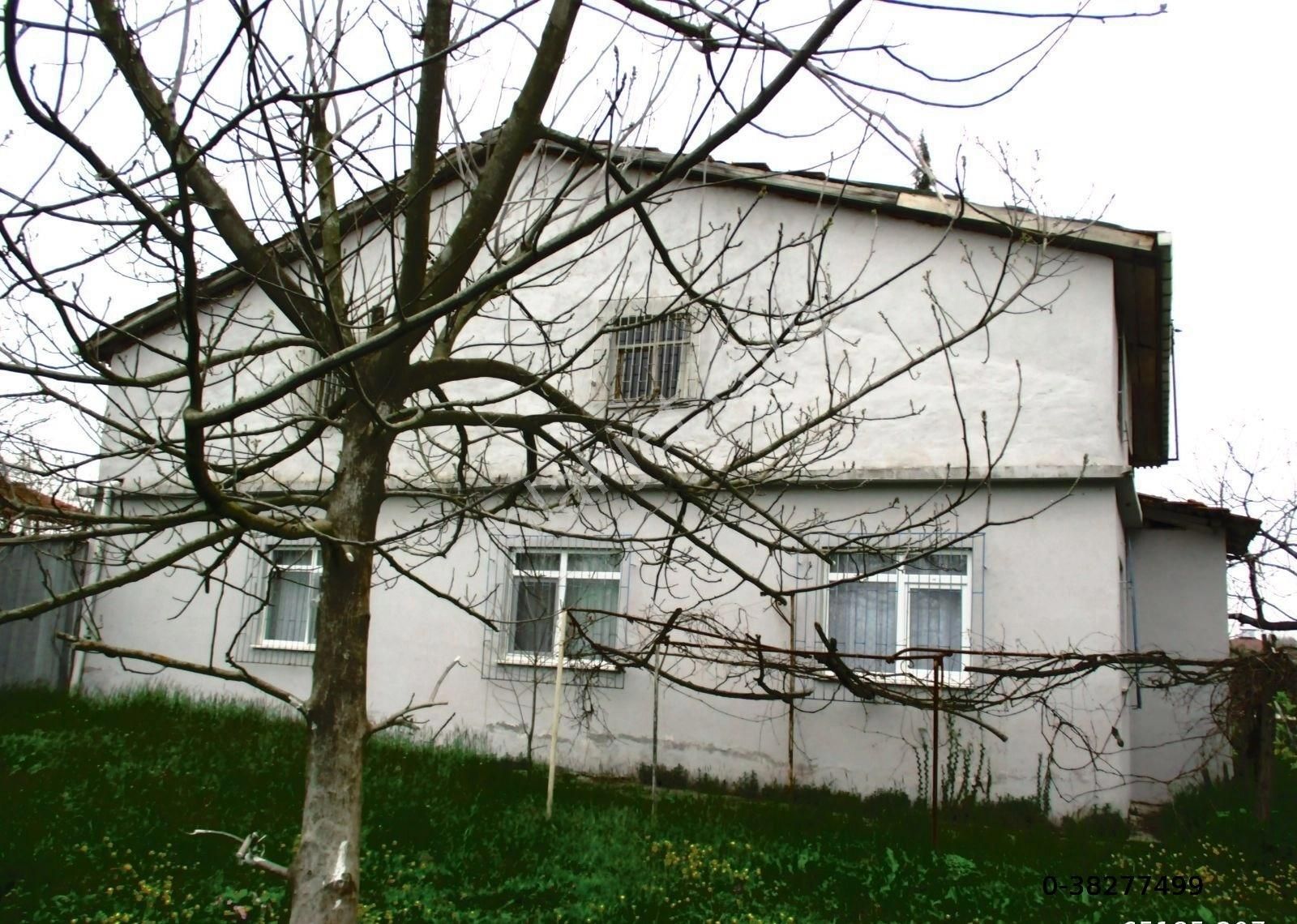 Samsun Terme Beşikli K Evi Olan Satılık Fındık Tarlası 28 Dönüm - Görsel 6