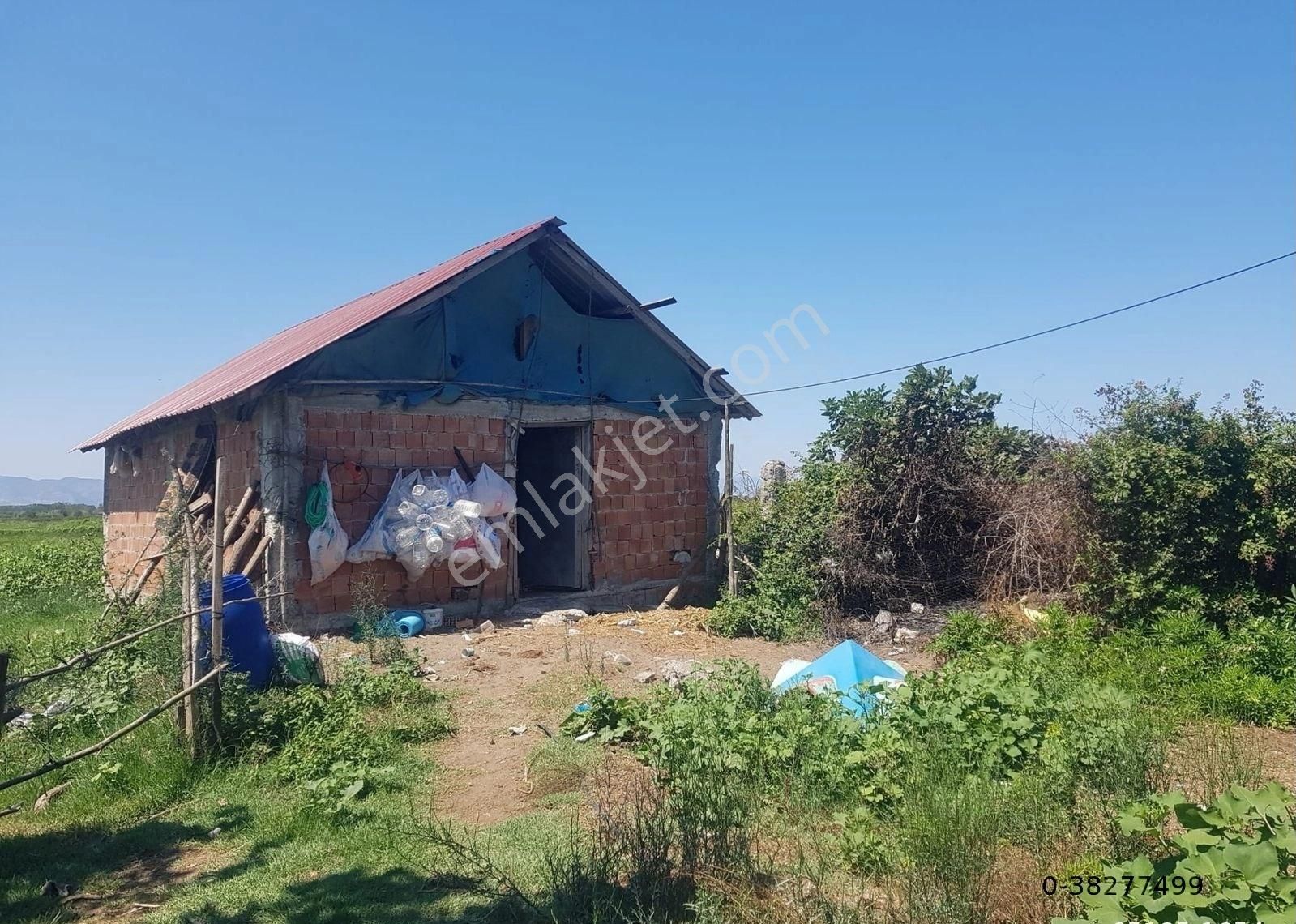 Samsun Çarşamba Karabahçede Mah. Hava Alanın 7946 M2 İçerisinde Ev Ve Ahırı Olan Acil Satılık Tarla - Görsel 14