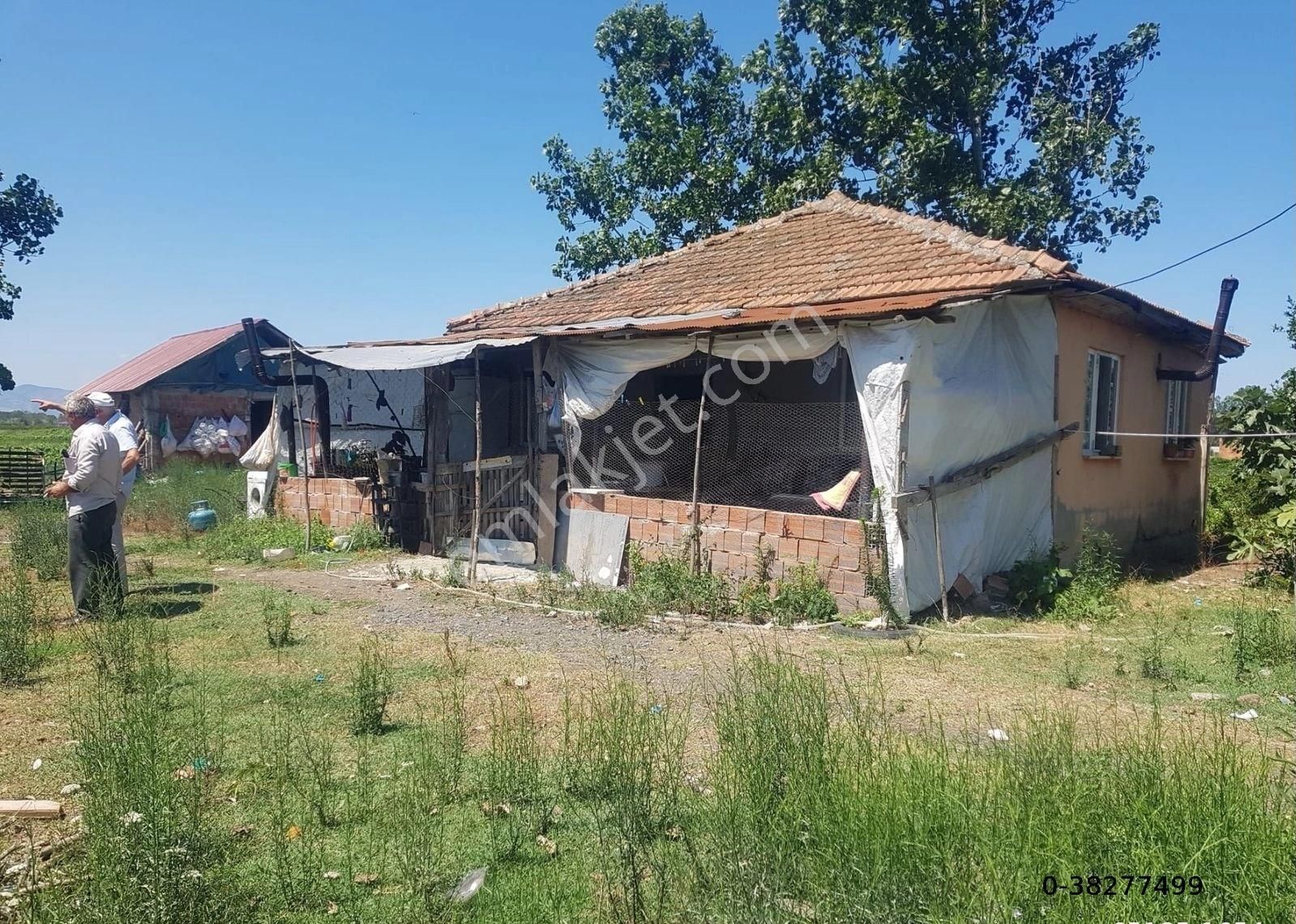 Samsun Çarşamba Karabahçede Mah. Hava Alanın 7946 M2 İçerisinde Ev Ve Ahırı Olan Acil Satılık Tarla - Görsel 7