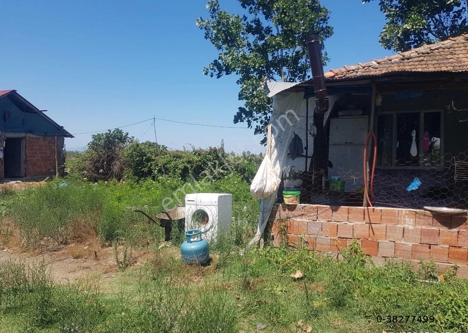Samsun Çarşamba Karabahçede Mah. Hava Alanın 7946 M2 İçerisinde Ev Ve Ahırı Olan Acil Satılık Tarla - Görsel 2