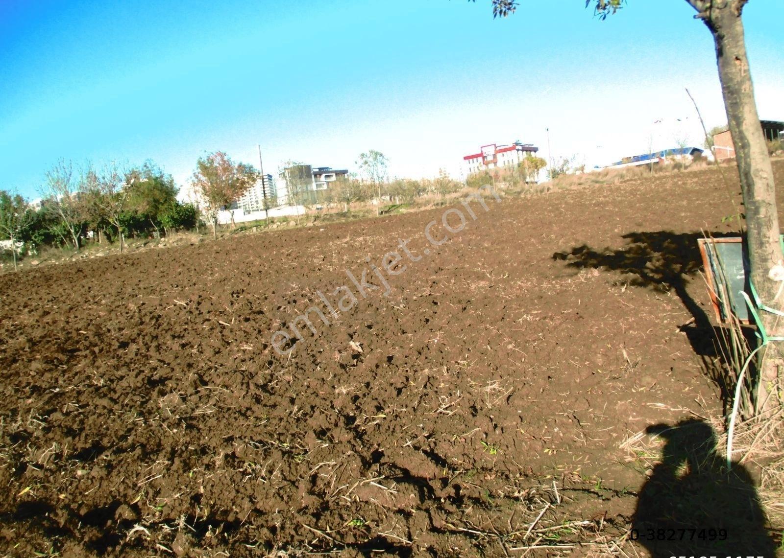 Samsun İlkadım Derecik Mev. Atatürk Bul 2 Parsel %40 Kat Kaşığı Arsa - Görsel 16