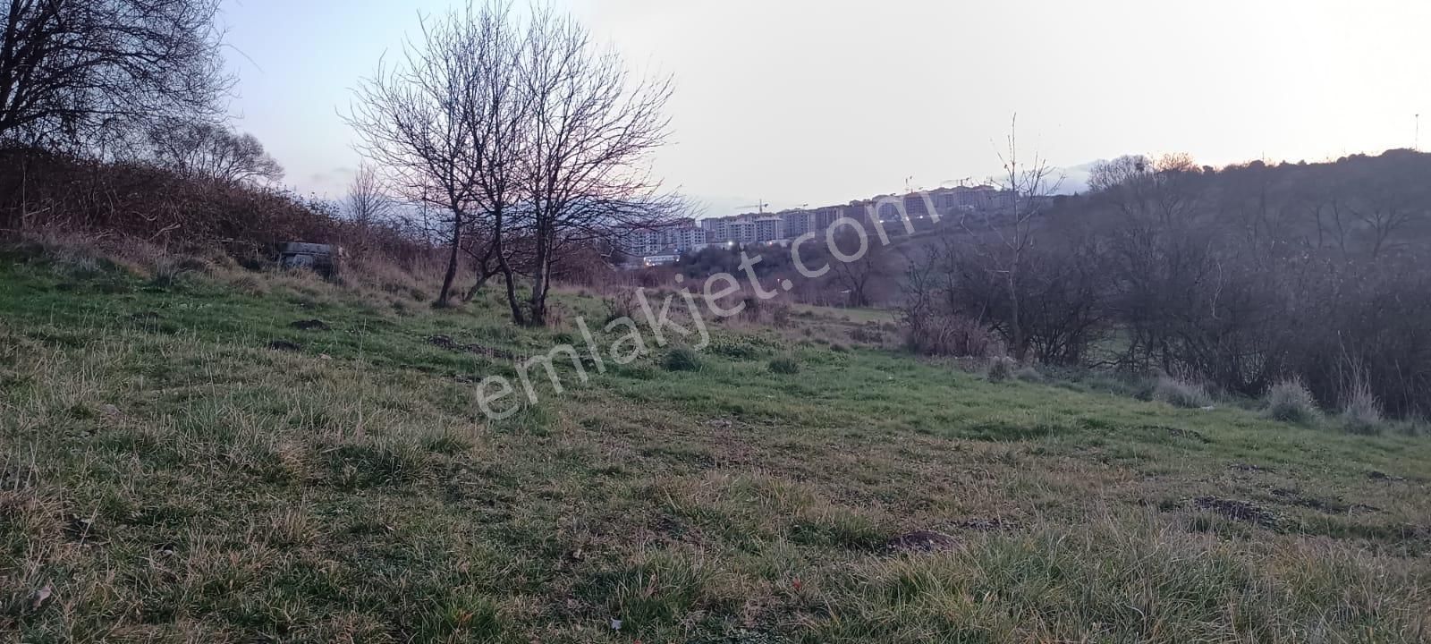 Köy İçi Konumda, Çaplı Çevrilebilir Tokiye Komşu, Hem Bahçelik Hem Yatırımlık 186 M2 - Görsel 3