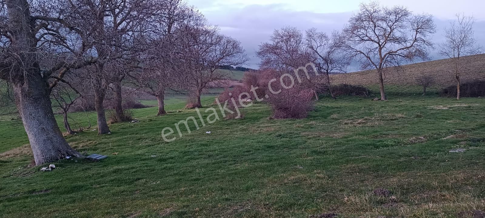 Köy İçi Konumda, Çaplı Çevrilebilir Tokiye Komşu, Hem Bahçelik Hem Yatırımlık 186 M2 - Görsel 2