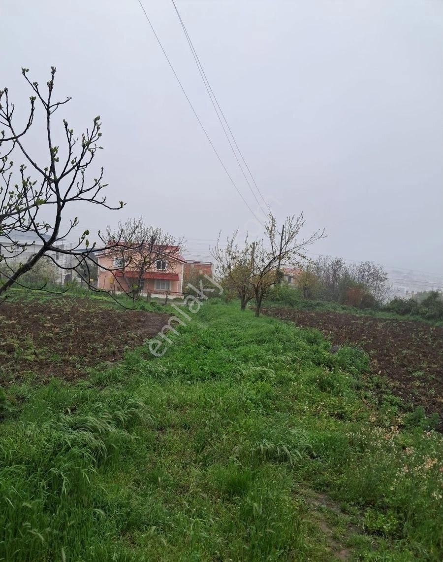 Samsun Atakum Çakırlar Da Deniz Manzaralı İki Kata İmarlı Arsa Acil Satılık Villalık Arsa - Görsel 27
