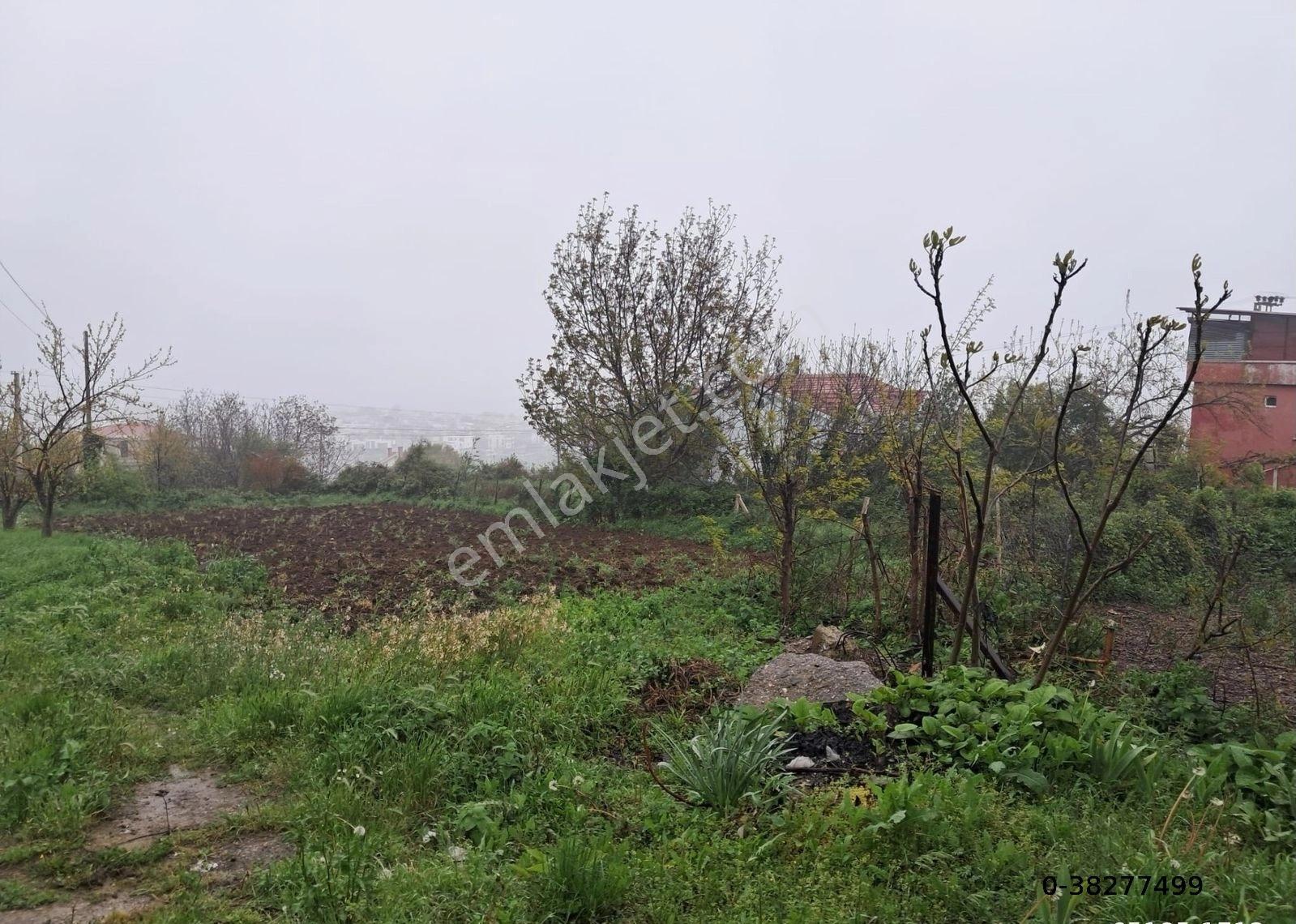 Samsun Atakum Çakırlar Da Deniz Manzaralı İki Kata İmarlı Arsa Acil Satılık Villalık Arsa - Görsel 21