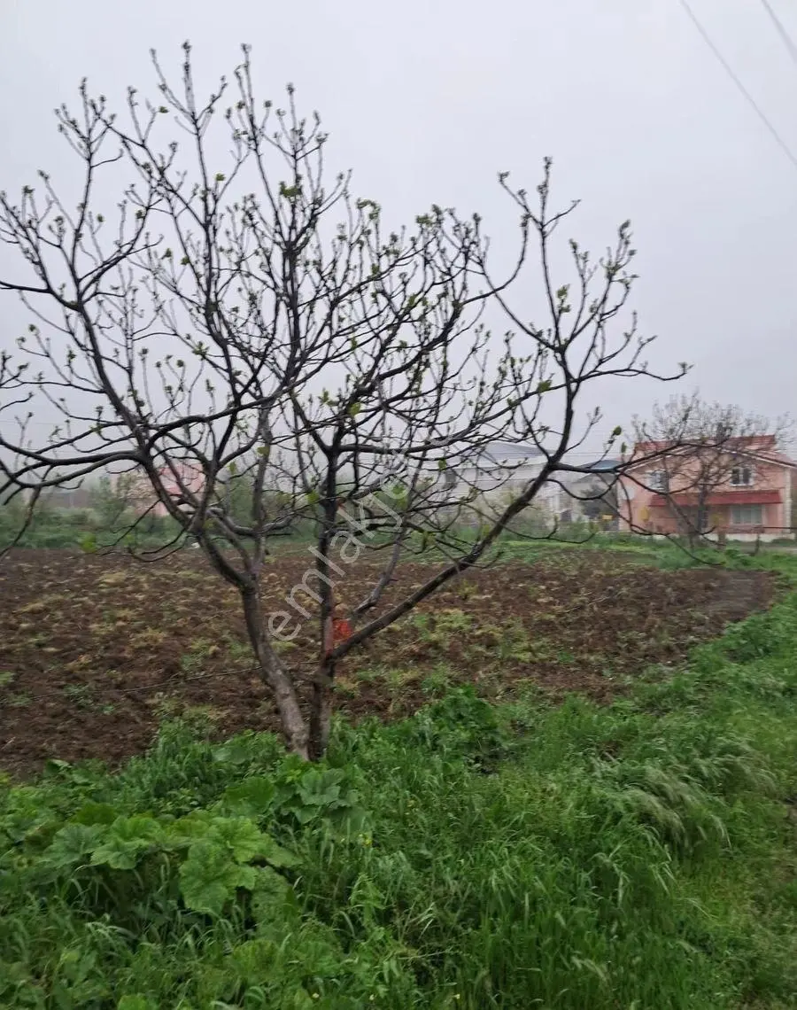 Samsun Atakum Çakırlar Da Deniz Manzaralı İki Kata İmarlı Arsa Acil Satılık Villalık Arsa - Görsel 6