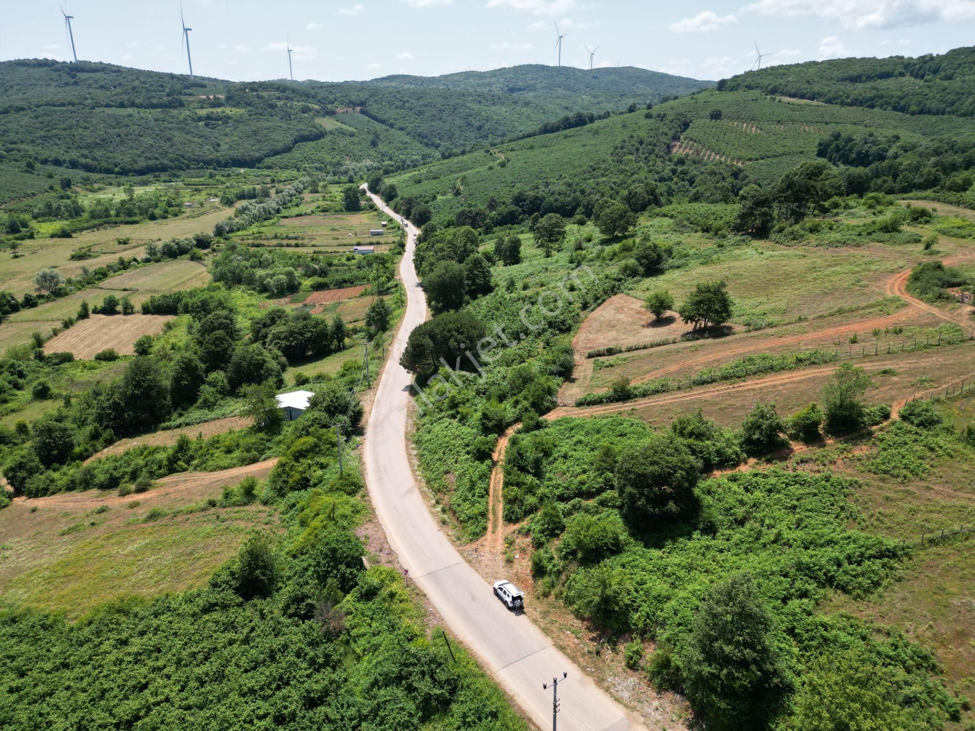 Bağırganlı'da Full Deniz Ve Doğa Manzaralı 1082 M2 Tarla - Görsel 5