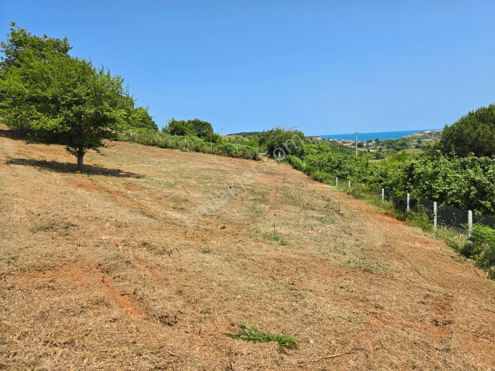 Bağırganlı'da Full Deniz Ve Doğa Manzaralı 1082 M2 Tarla - Görsel 24