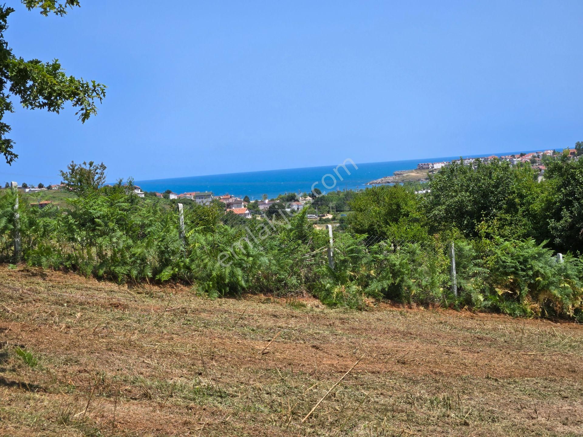 Bağırganlı'da Full Deniz Ve Doğa Manzaralı 1082 M2 Tarla - Görsel 2